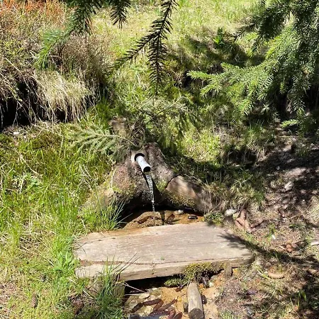 Golija Simovic * Radaljica