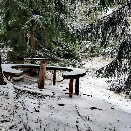 Golija Simovic Radaljica