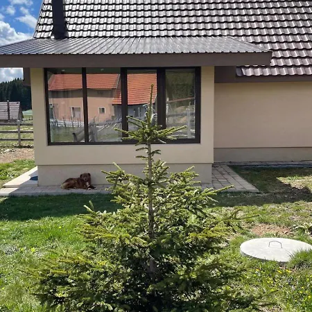 Golija Simovic Tatil Evi