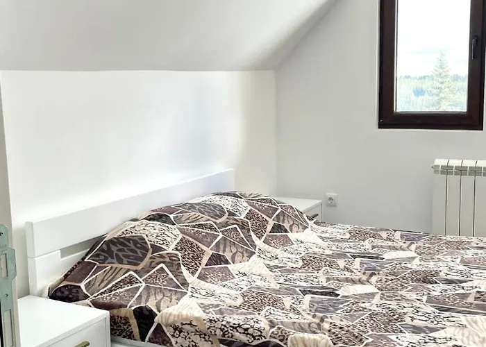 בית נופש Golija Simovic Radaljica