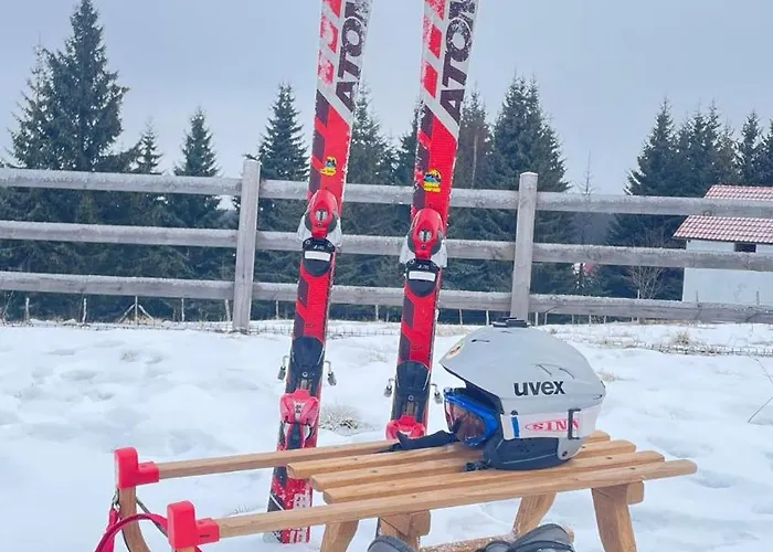 Golija Simovic 펜션