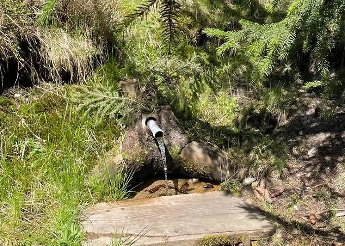 Golija Simovic * Radaljica