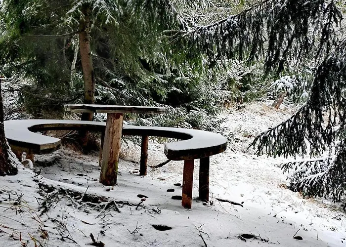 Golija Simovic Radaljica